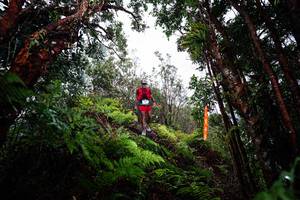 BIB: 
                            <button type="button" onclick="openModal(26203789)" class="btn btn-primary btn-sm float-right btn-popup" data-toggle="modal" data-target=".modal-high-quality">
                        <i class="fas fa-shopping-cart"></i> Add to Cart
                    </button>
                                            <button type="button" onclick="isThisMe(26203789, true)" class="btn btn-success btn-sm float-right btn-popup btn-isme hidden" data-toggle="tooltip" data-placement="bottom" title="นี่คือรูปของคุณใช่ไหม คลิกที่นี่เพื่อเอาเข้าอัลบั้ม">
                        <i class="fas fa-plus"></i> Add to album
                    </button>
                    <button type="button" onclick="isThisMe(26203789, false)" class="btn btn-warning btn-sm float-right btn-popup btn-isnotme hidden">
                        <i class="fas fa-ban"></i> Remove from album
                    </button>